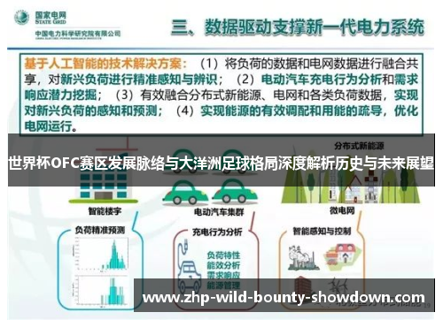 世界杯OFC赛区发展脉络与大洋洲足球格局深度解析历史与未来展望