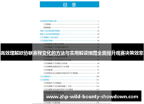 高效理解欧协联赛程变化的方法与实用解读指南全面提升观赛决策效率