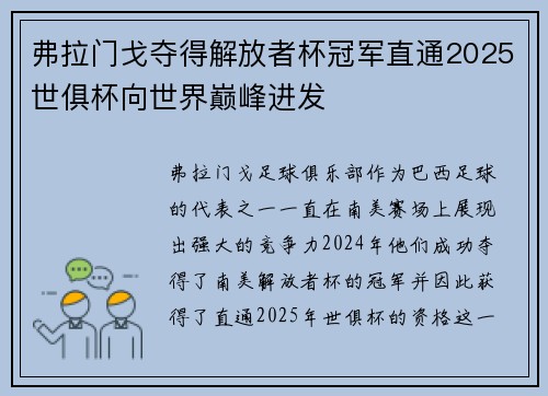 弗拉门戈夺得解放者杯冠军直通2025世俱杯向世界巅峰进发